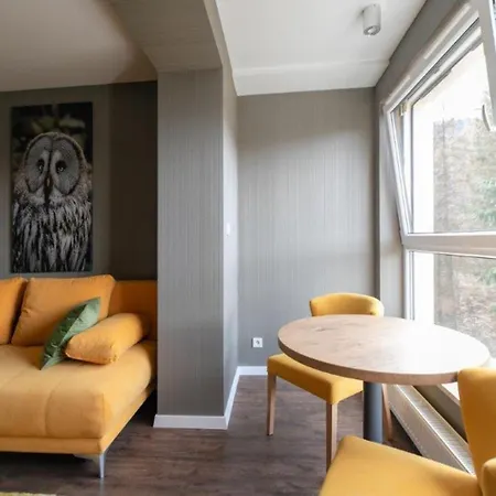 Kurort Kozubnik Kiczora K42