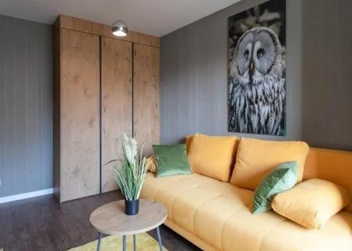 Kurort Kozubnik Kiczora K42 Porąbka